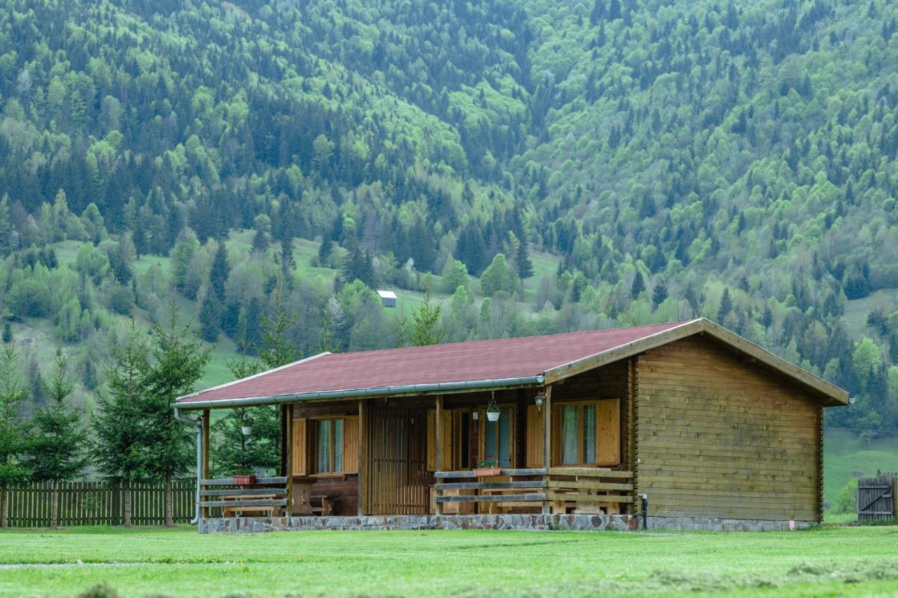 Biotour Camping & Restaurant Ghimeş-Făget Kültér fotó